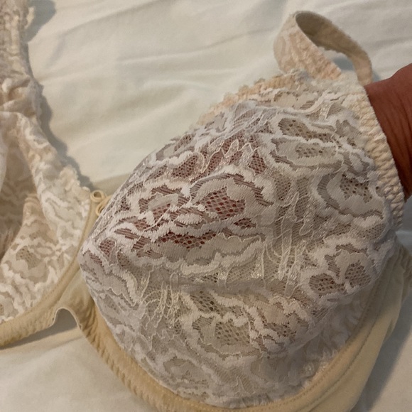 Rosa faia beautiful cup h - Picture 7 of 11